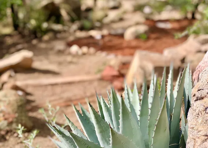 Prickly Pear Unique With Bathroom Built Into The Granite Boulders, Amazing Views, Front & Back Porches, Firepit,dog Friendly Prescott